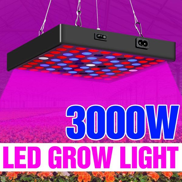 indoor 220v led grow lights phyaolampy for plant panel bombilla seeds bulb hydroponics lampara growth tent 2000w
indoor 220v led grow lights phyaolampy for plant panel bombilla seeds bulb hydroponics lampara growth tent 2000w