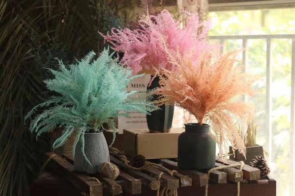 decorative flowers & wreaths 10pcs preserved dyed dicranopteris fern leaf flower branch for bouquet wreath garland making material accessory
decorative flowers & wreaths 10pcs preserved dyed dicranopteris fern leaf flower branch for bouquet wreath garland making material accessory