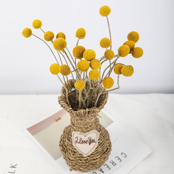 decorative flowers & wreaths golden ball dried craspedia billy button preserved bouquets forever gold orbs flower home room decor wedding de
decorative flowers & wreaths golden ball dried craspedia billy button preserved bouquets forever gold orbs flower home room decor wedding de