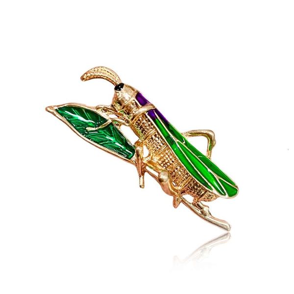 new style personalized color alloy oil drop insect enamel grasshopper brooch, Gray 
new style personalized color alloy oil drop insect enamel grasshopper brooch, Gray