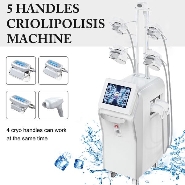 professional cryolipolysis fat removal cryotherapy instrument body contouring machines cryo weight loss machine 5 handles
professional cryolipolysis fat removal cryotherapy instrument body contouring machines cryo weight loss machine 5 handles
