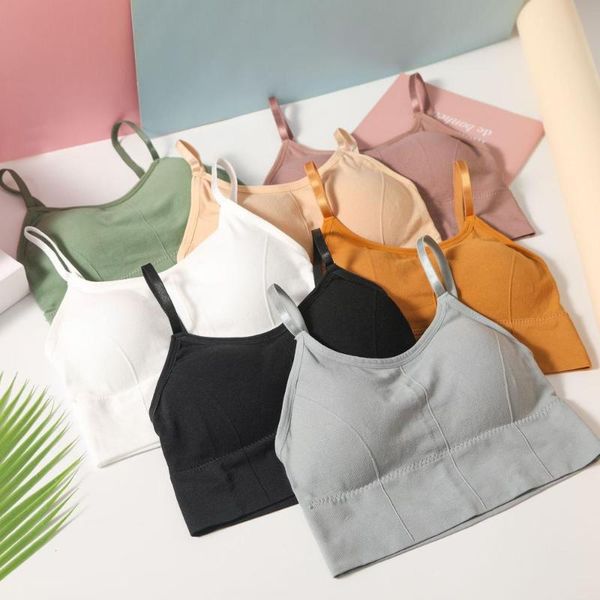 two-piece suits fitness bra women underwear sports high impact push up gym yoga bottoming tube anti-lighting gathered
two-piece suits fitness bra women underwear sports high impact push up gym yoga bottoming tube anti-lighting gathered