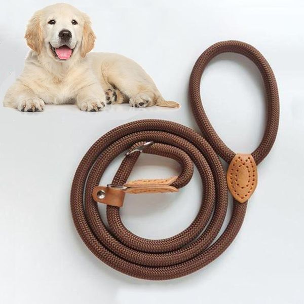 dog collars & leashes nylon pet lead leash adjustable harness durable rope belt lightweight supplies walking training products
dog collars & leashes nylon pet lead leash adjustable harness durable rope belt lightweight supplies walking training products