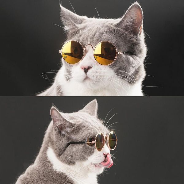 cat costumes fashion pet glasses sunglasses for dog take pos props creative trend toys puppy kitten dress up accessories
cat costumes fashion pet glasses sunglasses for dog take pos props creative trend toys puppy kitten dress up accessories