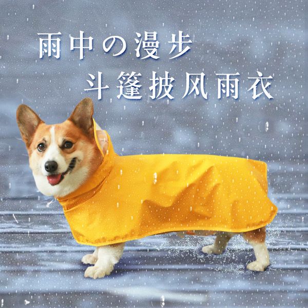 dog raincoat small dog pet suppli teddy corky waterproof cloth medium four legged belly pocket
dog raincoat small dog pet suppli teddy corky waterproof cloth medium four legged belly pocket