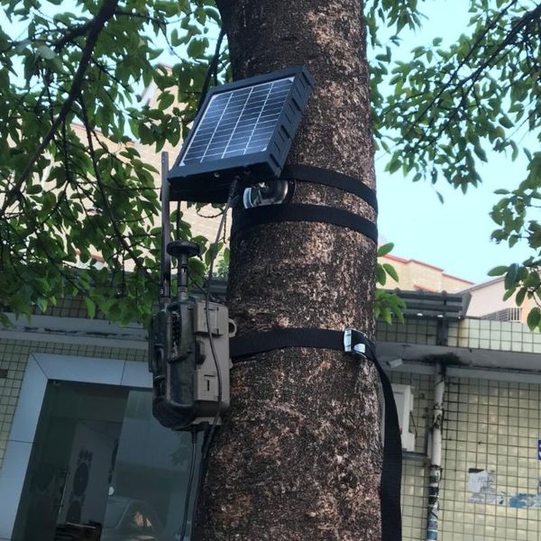 hunting cameras 4g camera solar panel bl480l-p po traps 3000mah 3w aluminum battery polymer for game
hunting cameras 4g camera solar panel bl480l-p po traps 3000mah 3w aluminum battery polymer for game