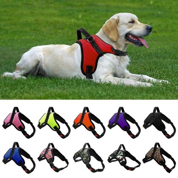 pet harness dog and cat reflective breathable adjustable for small large vest with custom patch collars & leashes
pet harness dog and cat reflective breathable adjustable for small large vest with custom patch collars & leashes