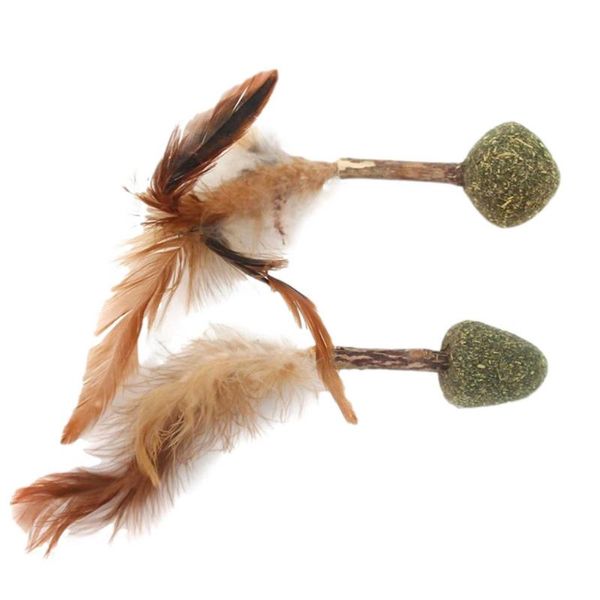 cat toys mutian polygonum and dog toy catnip molar teeth cleaning soft feather interactive grass ball bearable
cat toys mutian polygonum and dog toy catnip molar teeth cleaning soft feather interactive grass ball bearable