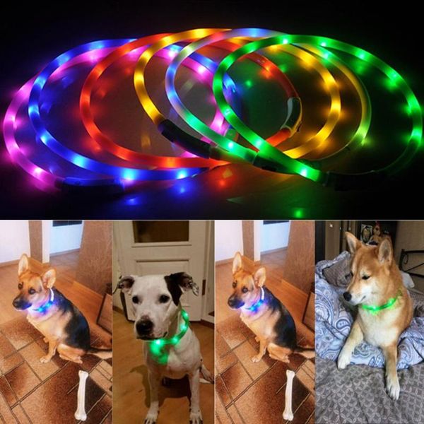 pet dogs cats anti-lost usb rechargeable luminous flashing led light collar dog collars & leashes
pet dogs cats anti-lost usb rechargeable luminous flashing led light collar dog collars & leashes
