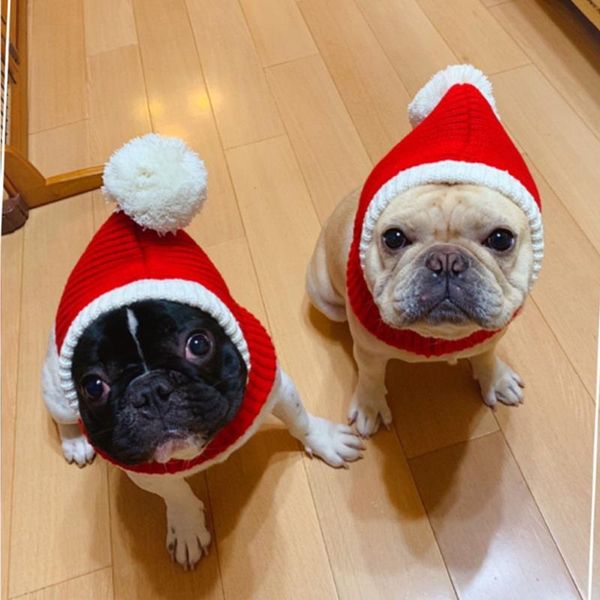 dog apparel christmas lovely winter puppy costume pet cat hats cute headress pets woolen knitted hat headwear xs/s/m/l/xl
dog apparel christmas lovely winter puppy costume pet cat hats cute headress pets woolen knitted hat headwear xs/s/m/l/xl