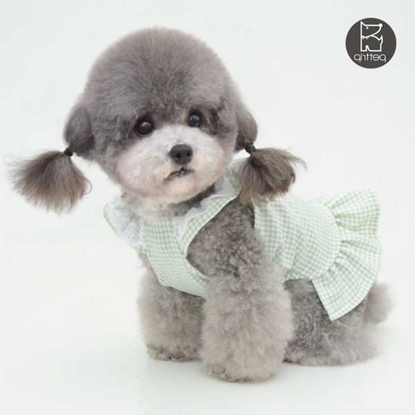 the dog clothes spring and pet skirt dog summer teddy clothes 
the dog clothes spring and pet skirt dog summer teddy clothes
