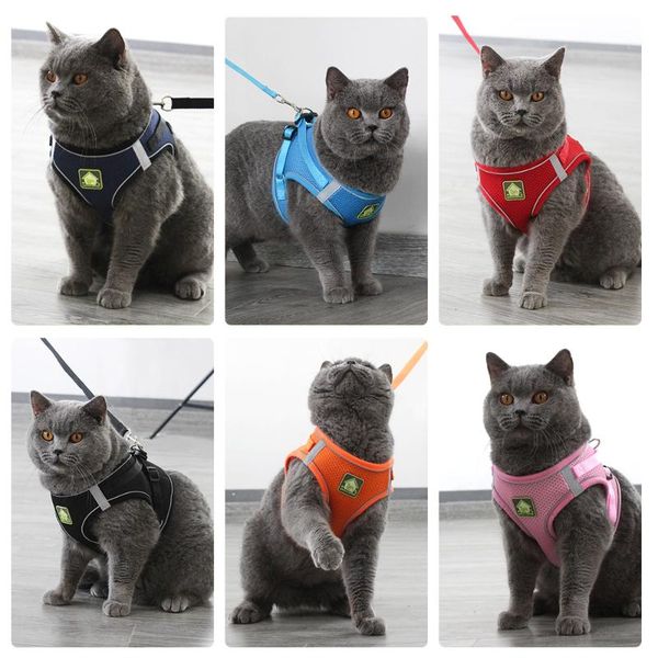 cat collars & leads dog harness vest adjustable soft breathable nylon mesh dogs puppy collar pet chest strap
cat collars & leads dog harness vest adjustable soft breathable nylon mesh dogs puppy collar pet chest strap