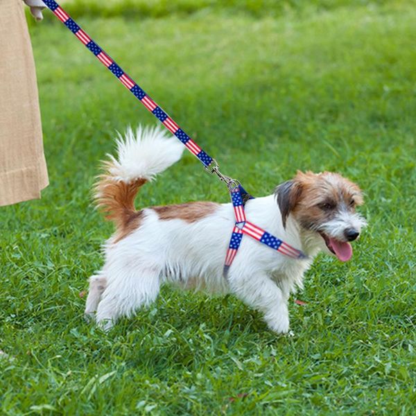 dog collars & leashes pet harness adjustable puppy collar for small dogs cat medium accessories outdoor walk
dog collars & leashes pet harness adjustable puppy collar for small dogs cat medium accessories outdoor walk