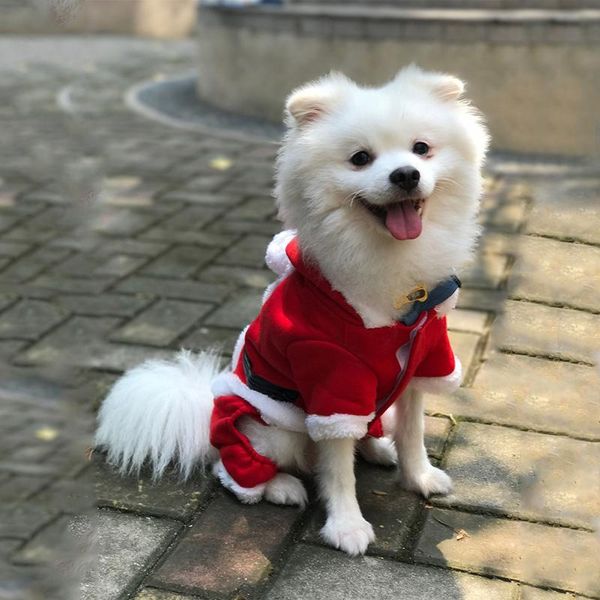 cat costumes christmas pet dog winter clothes jumpsuit warm fleece jumper puppy red dress dogs costume
cat costumes christmas pet dog winter clothes jumpsuit warm fleece jumper puppy red dress dogs costume