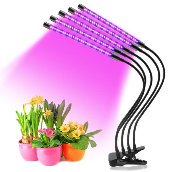 grow lights phytolamp for plants flower greenhouse tent led light full spectrum plant seeds indoor box lighting usb clip uv lamp
grow lights phytolamp for plants flower greenhouse tent led light full spectrum plant seeds indoor box lighting usb clip uv lamp