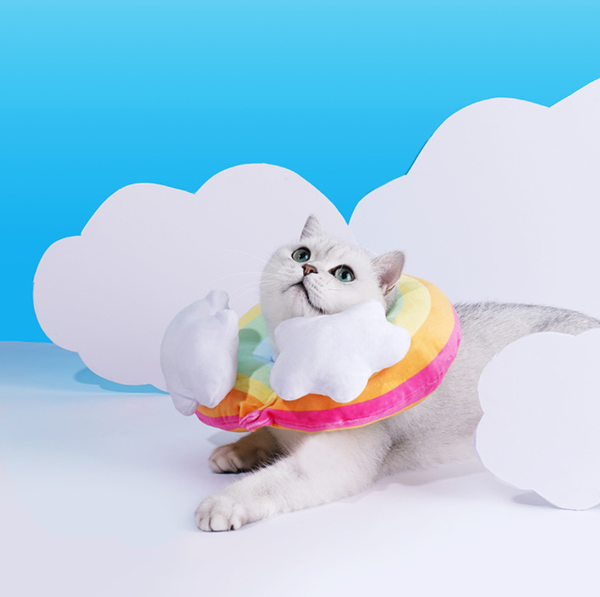 cat collars & leads rainbow elizabeth circle pet anti-licking collar headgear dogs sterilization shame
cat collars & leads rainbow elizabeth circle pet anti-licking collar headgear dogs sterilization shame