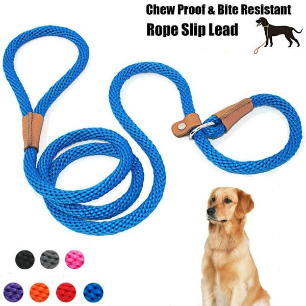 non-slip chain dog leash collar pet walking leads mountain climbing rope puppy traction for small medium large dogs collars & leashes
non-slip chain dog leash collar pet walking leads mountain climbing rope puppy traction for small medium large dogs collars & leashes