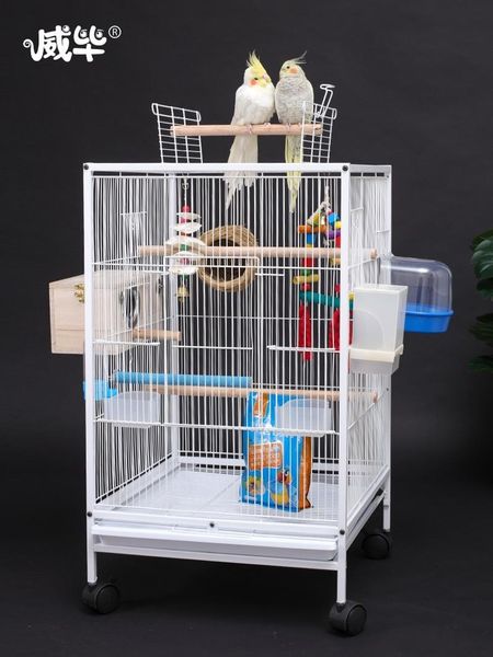 bird cages cage parrot large myna xuanfeng tiger skin special luxury reproduction family villa complete
bird cages cage parrot large myna xuanfeng tiger skin special luxury reproduction family villa complete