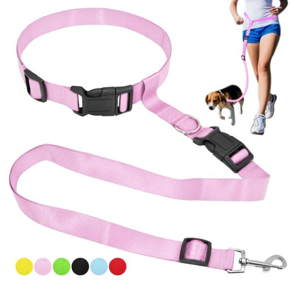 dog collars & leashes hand collar and leash set strong nylon small large pet leads running jogging hiking walking 6 color
dog collars & leashes hand collar and leash set strong nylon small large pet leads running jogging hiking walking 6 color