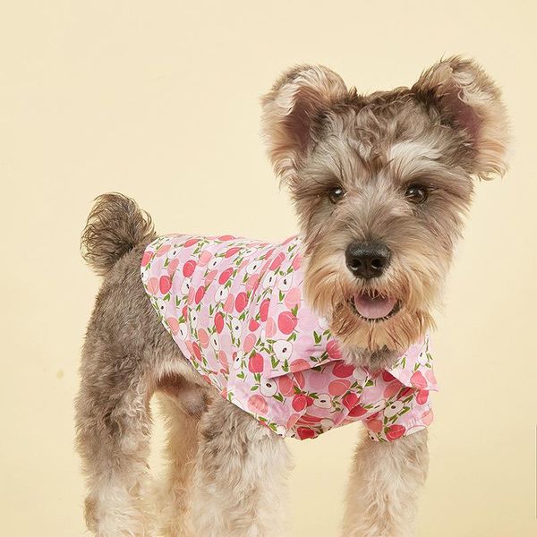 dog apparel small shirts pet supplies fruit print clothes cotton clothing cat breathable kitty york chihuahuas costume
dog apparel small shirts pet supplies fruit print clothes cotton clothing cat breathable kitty york chihuahuas costume