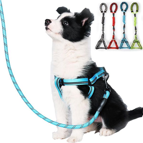 dog collars & leashes reflective walking harness puppy pet adjustable nylon set cat outdoor travel tenacity small large dogs traction rope
dog collars & leashes reflective walking harness puppy pet adjustable nylon set cat outdoor travel tenacity small large dogs traction rope