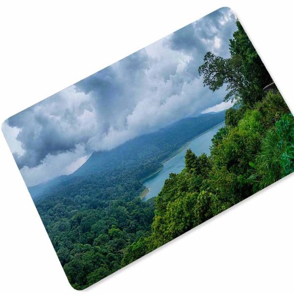 bath mats rubber carpet floor kitchen bathroom living room bedroom water-absorbing anti-skid mat not card door
bath mats rubber carpet floor kitchen bathroom living room bedroom water-absorbing anti-skid mat not card door