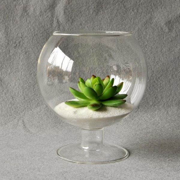vases clear glass vase terrarium cup shaped bottle flower garden indoor office bar decoration ornament
vases clear glass vase terrarium cup shaped bottle flower garden indoor office bar decoration ornament
