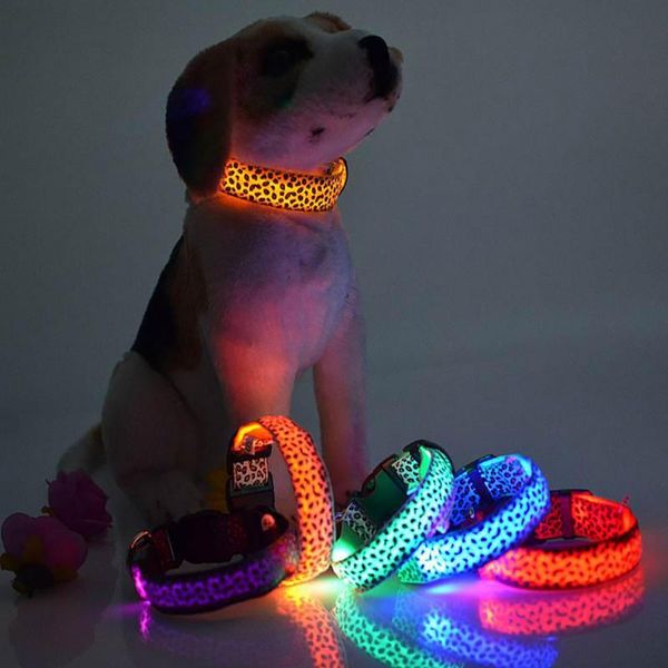 dog collars & leashes 2021 pet collar fashion led safety luminous fluorescent glowing usb rechargeable charging lamp leopard for night walki
dog collars & leashes 2021 pet collar fashion led safety luminous fluorescent glowing usb rechargeable charging lamp leopard for night walki