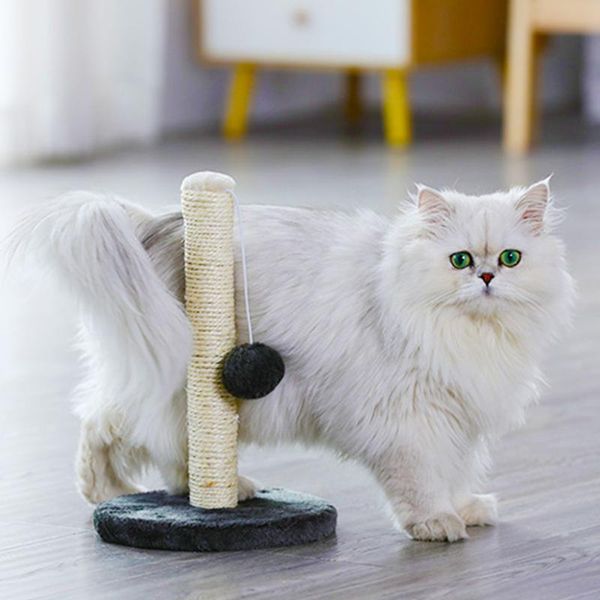 cat toys pet climbing frame sisal scratcher board post kitten claw grinding device vertical toy with ball furniture protector
cat toys pet climbing frame sisal scratcher board post kitten claw grinding device vertical toy with ball furniture protector