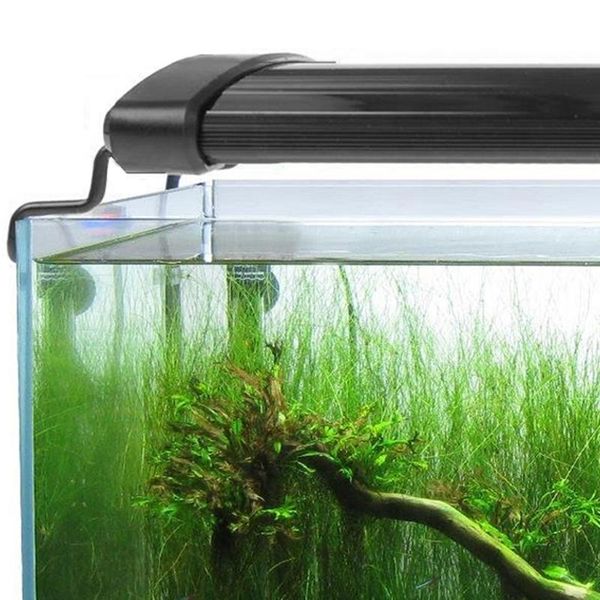 aquariums lighting 30-50cm 5 colors fishing light aquarium led lights lampe full spectrum fish tank lamp for
aquariums lighting 30-50cm 5 colors fishing light aquarium led lights lampe full spectrum fish tank lamp for