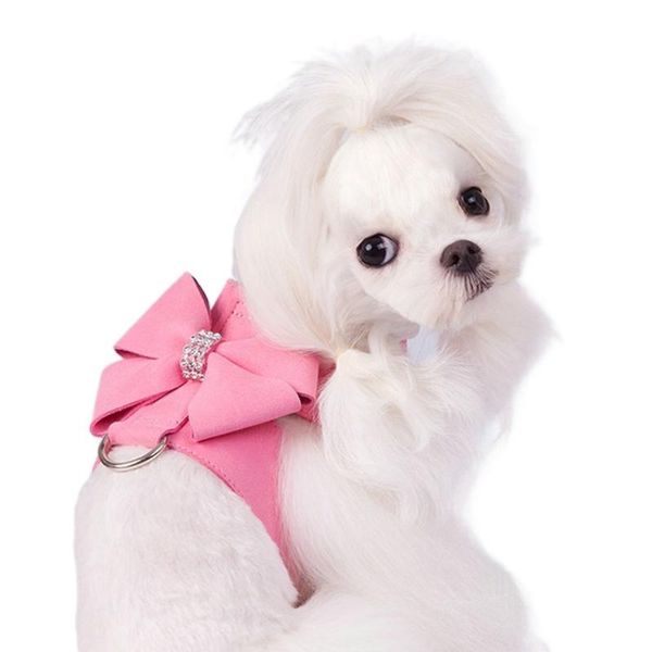 dog collars & leashes pet vest-style chest harness, small and medium-sized cat leash collar set supplies accessories wholesale
dog collars & leashes pet vest-style chest harness, small and medium-sized cat leash collar set supplies accessories wholesale