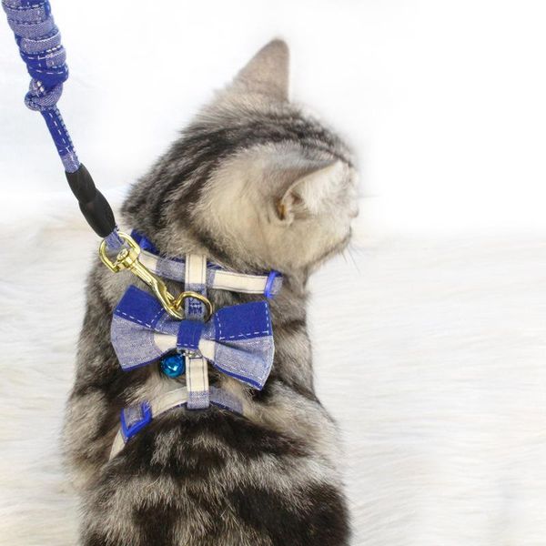 cat collars & leads cats kitten vest strap with leash rope collar harness bow knot pet cute
cat collars & leads cats kitten vest strap with leash rope collar harness bow knot pet cute
