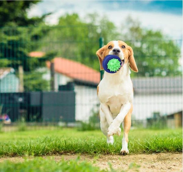 pet dog supplies leak rotation toy ball interactive training bite resistant feeder teddy molar rubber chew toys qianyi cat
pet dog supplies leak rotation toy ball interactive training bite resistant feeder teddy molar rubber chew toys qianyi cat