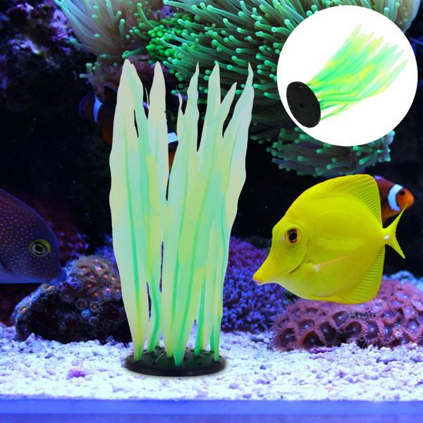 fish tank glowing kelp artificial water plant seaweed ornament for aquarium decorations
fish tank glowing kelp artificial water plant seaweed ornament for aquarium decorations