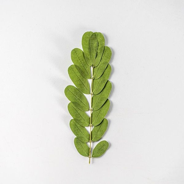 decorative flowers & wreaths 24pcs/pack pressed dried leaf necklace jewelry making craft embossing phone case bookmark wedding decor postcar
decorative flowers & wreaths 24pcs/pack pressed dried leaf necklace jewelry making craft embossing phone case bookmark wedding decor postcar