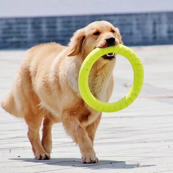 dog toys & chews pet flying discs eva training ring puller resistant bite floating toy puppy outdoor interactive game playing products suppl
dog toys & chews pet flying discs eva training ring puller resistant bite floating toy puppy outdoor interactive game playing products suppl
