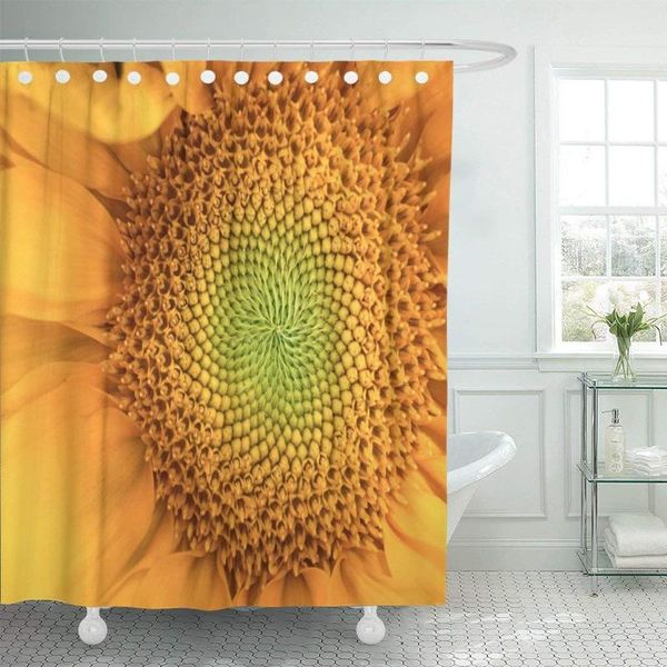 shower curtains green fibonacci sunflower natural blooming orange golden ratio close curtain waterproof polyester fabric 60 x 72 inches
shower curtains green fibonacci sunflower natural blooming orange golden ratio close curtain waterproof polyester fabric 60 x 72 inches