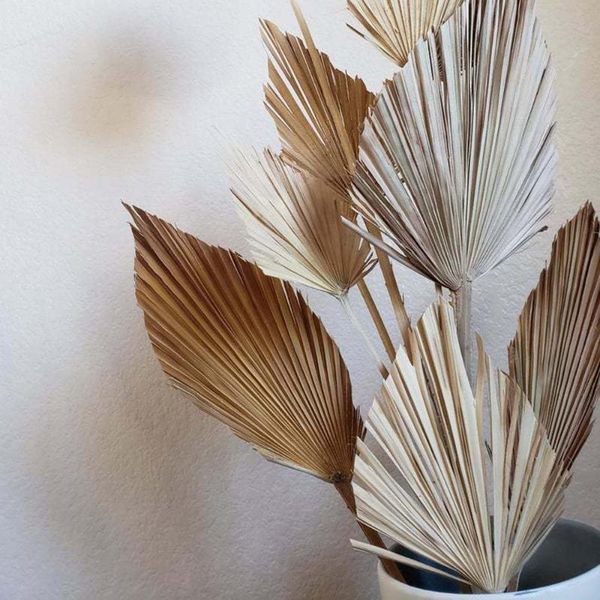 one piece natural dried flower palm leaf fan plant tree leaves home garden wedding party bedroom bonsai decoration decorative flowers & wrea
one piece natural dried flower palm leaf fan plant tree leaves home garden wedding party bedroom bonsai decoration decorative flowers & wrea