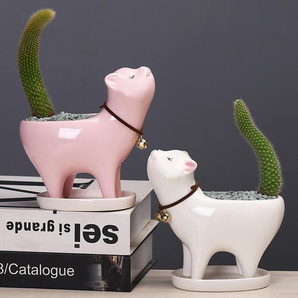 animal ceramic flowerpot cartoons cat flower pot cute cactus succulent plants planter potted bonsai home bedroom decoration gift planters &
animal ceramic flowerpot cartoons cat flower pot cute cactus succulent plants planter potted bonsai home bedroom decoration gift planters &