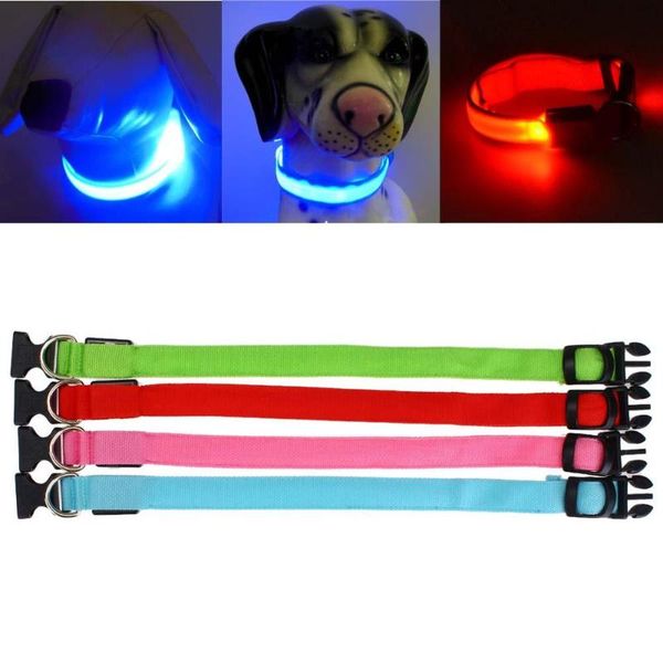 nylon led pet dog collar night safety flashing glow in the dark leash dogs luminous fluorescent collars supplies & leashes
nylon led pet dog collar night safety flashing glow in the dark leash dogs luminous fluorescent collars supplies & leashes
