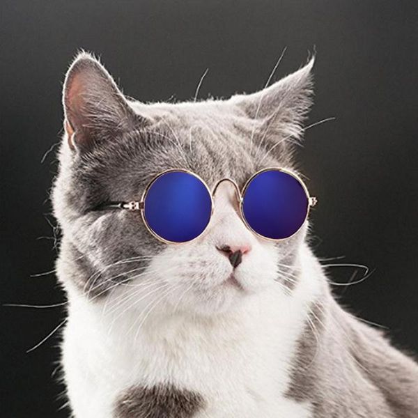 cat costumes 1pc lovely pet glasses dog products for little eye-wear sunglasses colorful pos accessories
cat costumes 1pc lovely pet glasses dog products for little eye-wear sunglasses colorful pos accessories