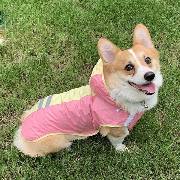 dog apparel pet raincoat travel outside water-proof radix sileris polyester fiber small and medium-sized thin section
dog apparel pet raincoat travel outside water-proof radix sileris polyester fiber small and medium-sized thin section