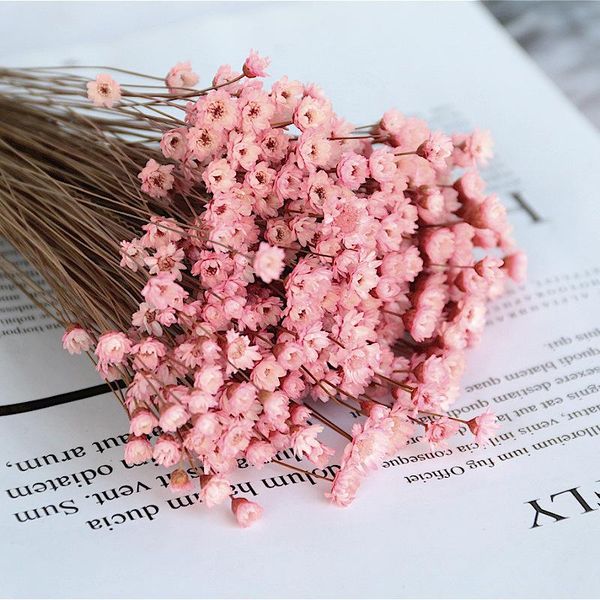 decorative flowers & wreaths 30pcs/bouquet dried mini daisy bouquets natural plants preserve floral for wedding home decoration
decorative flowers & wreaths 30pcs/bouquet dried mini daisy bouquets natural plants preserve floral for wedding home decoration