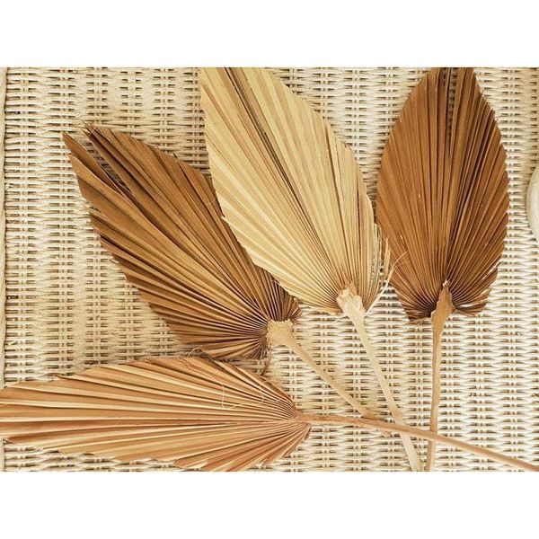 1pc dried flower natural pu fan leaf for diy home shop display decoration materials decorative flowers & wreaths
1pc dried flower natural pu fan leaf for diy home shop display decoration materials decorative flowers & wreaths