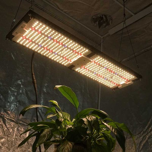 240w lm301h mix uv ir separately control led grow light qb288 board full spectrum for tent lights
240w lm301h mix uv ir separately control led grow light qb288 board full spectrum for tent lights