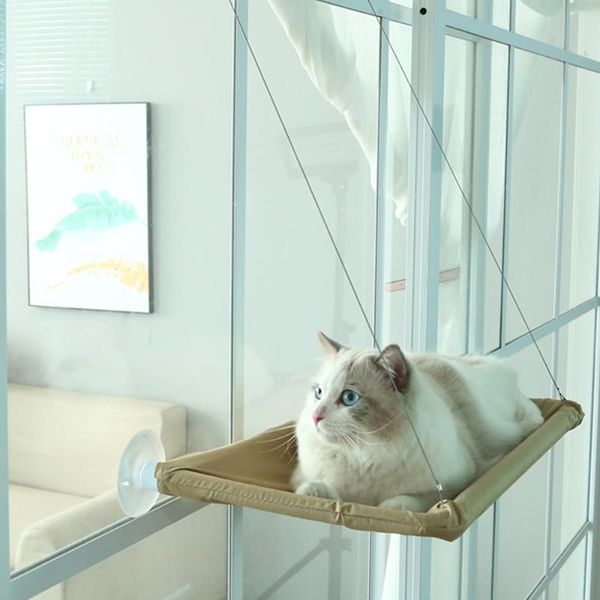 cat beds & furniture house for hammock bed cama gato washable pet teddy pads removable window sill seat
cat beds & furniture house for hammock bed cama gato washable pet teddy pads removable window sill seat