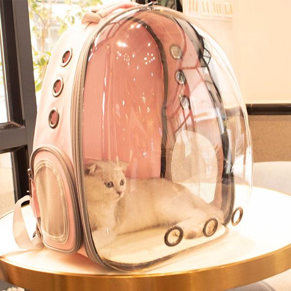 space meow transparent cat bag going out portable dog shoulder school carrying pet backpack car seat covers
space meow transparent cat bag going out portable dog shoulder school carrying pet backpack car seat covers
