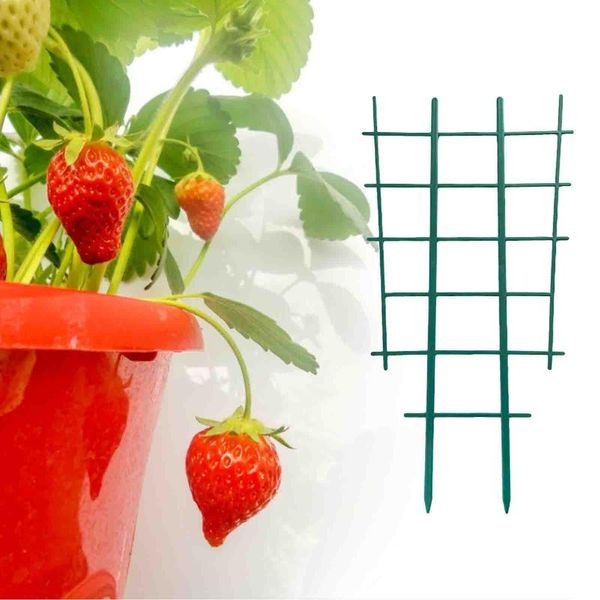 plastic plant vines climbing trellis diy growing support flower pot mini potted stand rack garden tools decorative flowers & wreaths
plastic plant vines climbing trellis diy growing support flower pot mini potted stand rack garden tools decorative flowers & wreaths