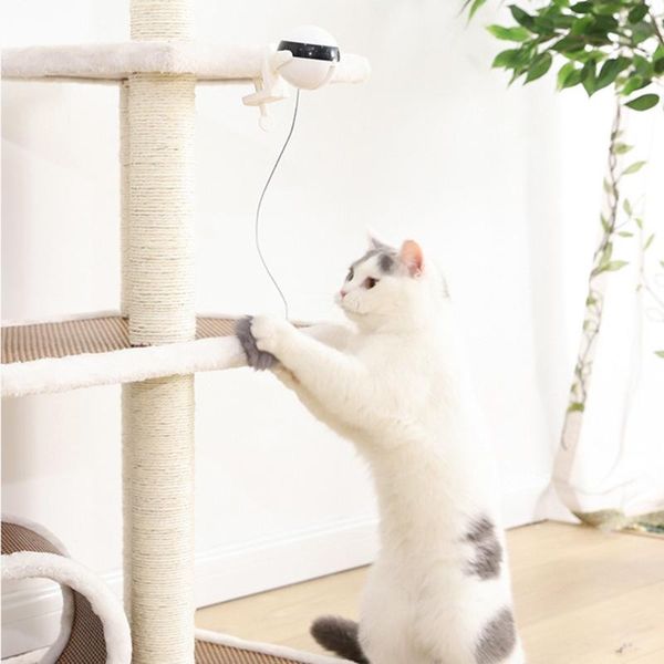cat toys interactive electronic toy balls pet adjustable lifting for cats replacement feather outdoor playing
cat toys interactive electronic toy balls pet adjustable lifting for cats replacement feather outdoor playing
