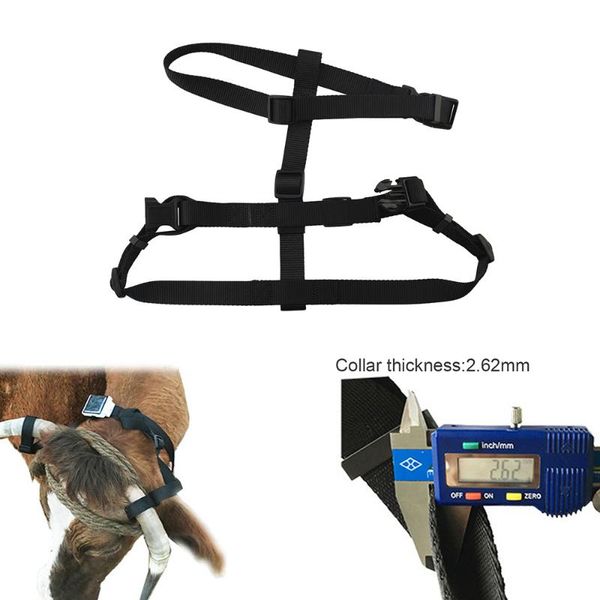 car gps & accessories accessory pet collar for solar power tracker rf-v26 rf-v26+ cow big pets no include
car gps & accessories accessory pet collar for solar power tracker rf-v26 rf-v26+ cow big pets no include